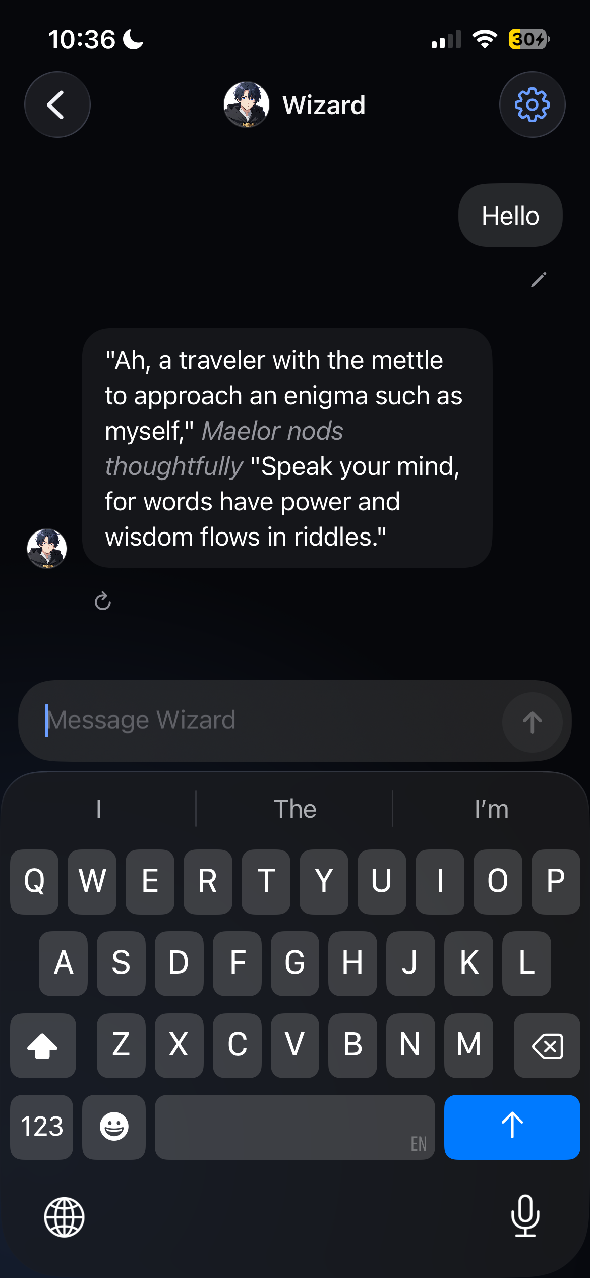 A roleplay conversation with the Wizard character